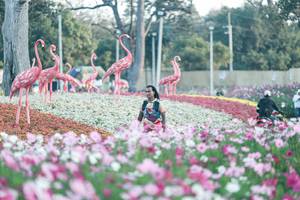 BIB: 
                            <button type="button" onclick="openModal(27344049)" class="btn btn-primary btn-sm float-right btn-popup" data-toggle="modal" data-target=".modal-high-quality">
                        <i class="fas fa-shopping-cart"></i> Add to Cart
                    </button>
                                            <button type="button" onclick="isThisMe(27344049, true)" class="btn btn-success btn-sm float-right btn-popup btn-isme hidden" data-toggle="tooltip" data-placement="bottom" title="นี่คือรูปของคุณใช่ไหม คลิกที่นี่เพื่อเอาเข้าอัลบั้ม">
                        <i class="fas fa-plus"></i> Add to album
                    </button>
                    <button type="button" onclick="isThisMe(27344049, false)" class="btn btn-warning btn-sm float-right btn-popup btn-isnotme hidden">
                        <i class="fas fa-ban"></i> Remove from album
                    </button>